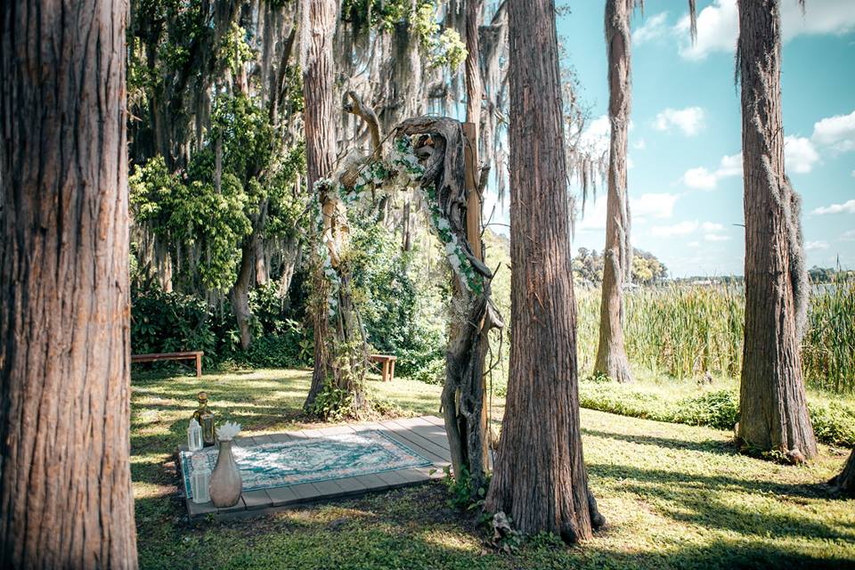 Knotted Roots on the Lake Altar