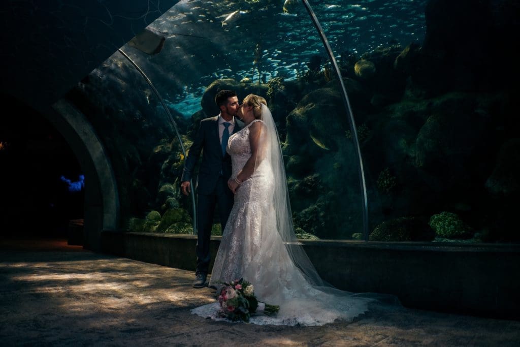 Bride and Groom Kissing under Aquarium at Florida Aquarium Tampa