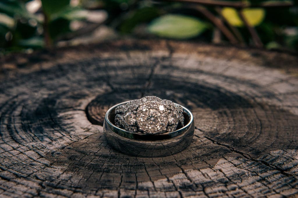 Wedding rings on stump at Knotted Roots on the Lake - Land O' Lakes